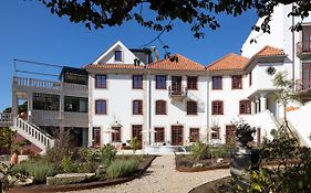Casa Camelia